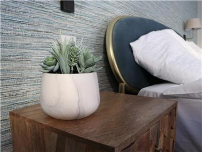 Chapel Lodge - Roof Top Garden!Perfect For Your Family Бат Екстериор снимка
